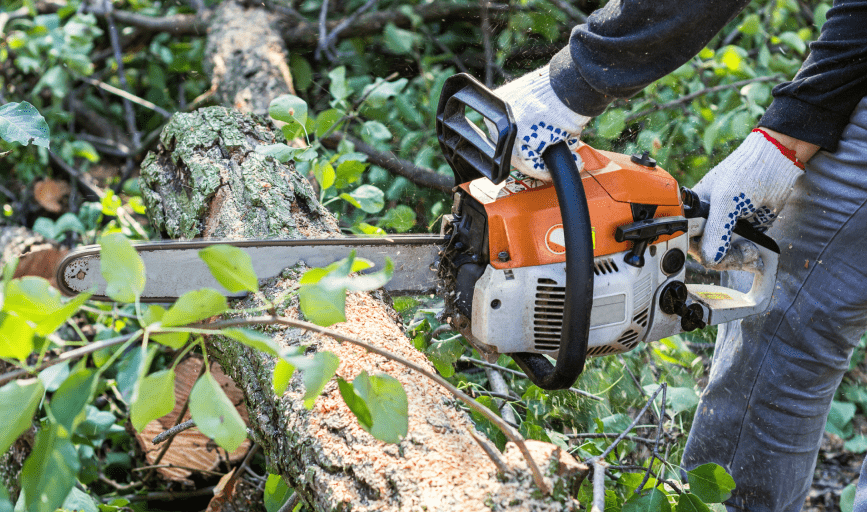 Roberth Tree & Concrete Services